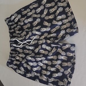 Trunks Swim Men's  Shorts Size Medium